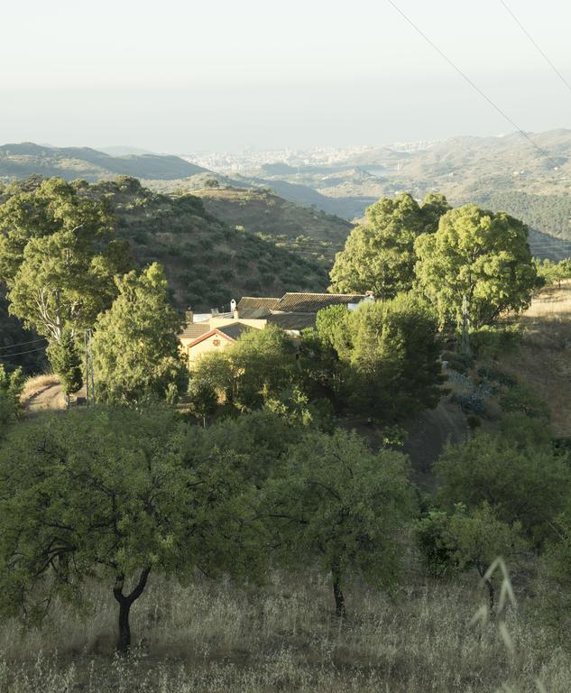 Rural Montes Malaga: Lagar Don Sancho Villa Room photo